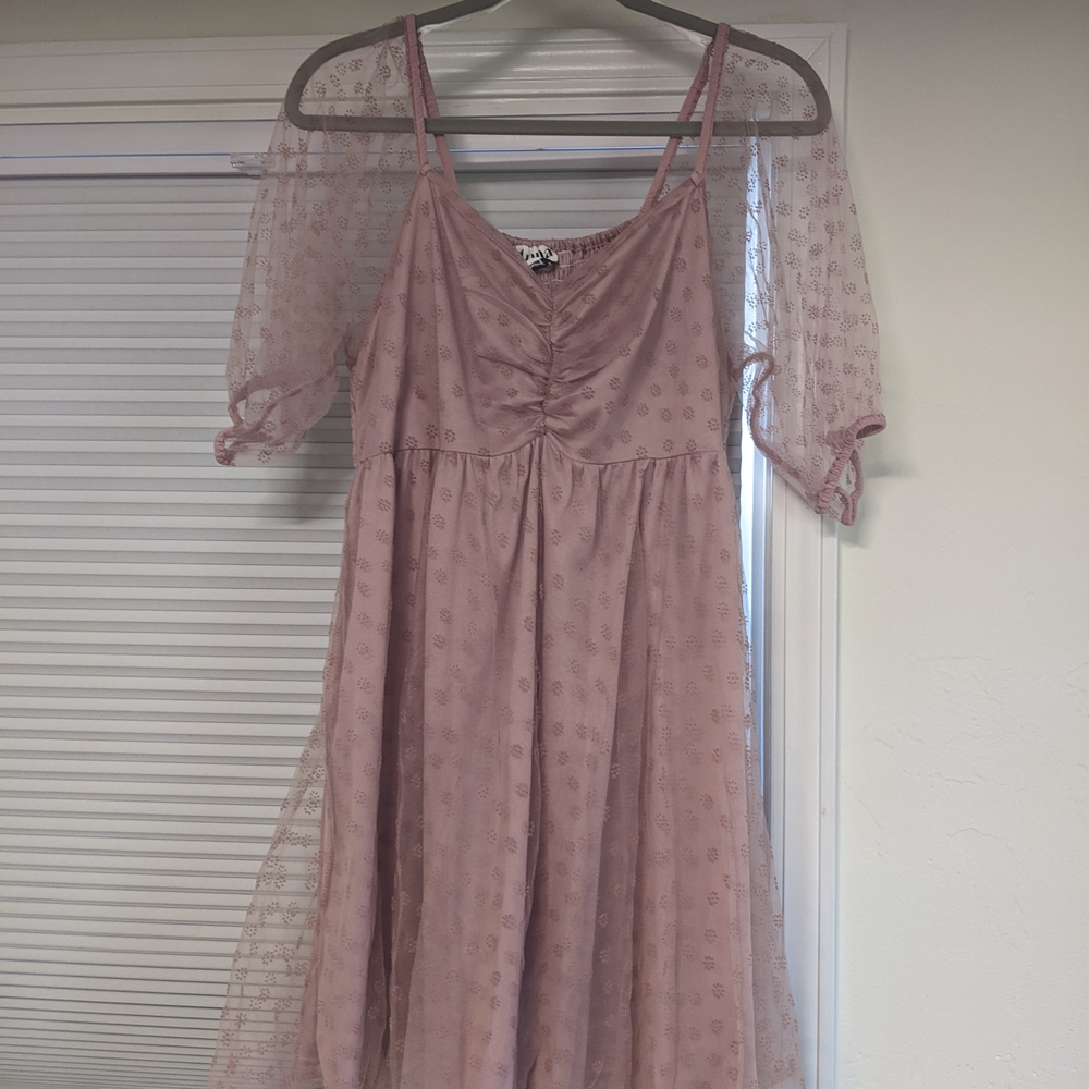 Arula Pueple Sheer Overlay Dress